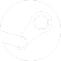 Steam icon